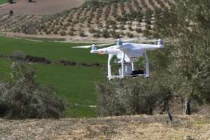 Drone y Olivar